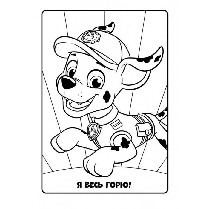 Книга Щенячий Патруль. Кольорові пригоди. Активіті-розмальовка. Разом ми сила! Ранок (9786177846009) изображение 2
