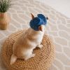 Кепка для животных Pet Fashion Stars XS (4823082446131) изображение 6