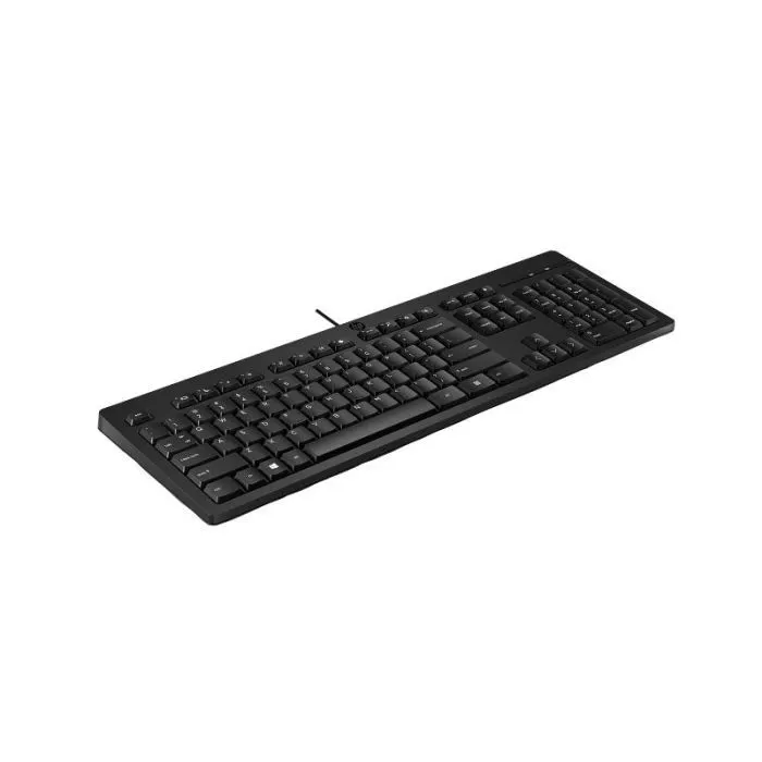 Клавиатура HP 125 USB UA Black (AY2Y7AA) изображение 2