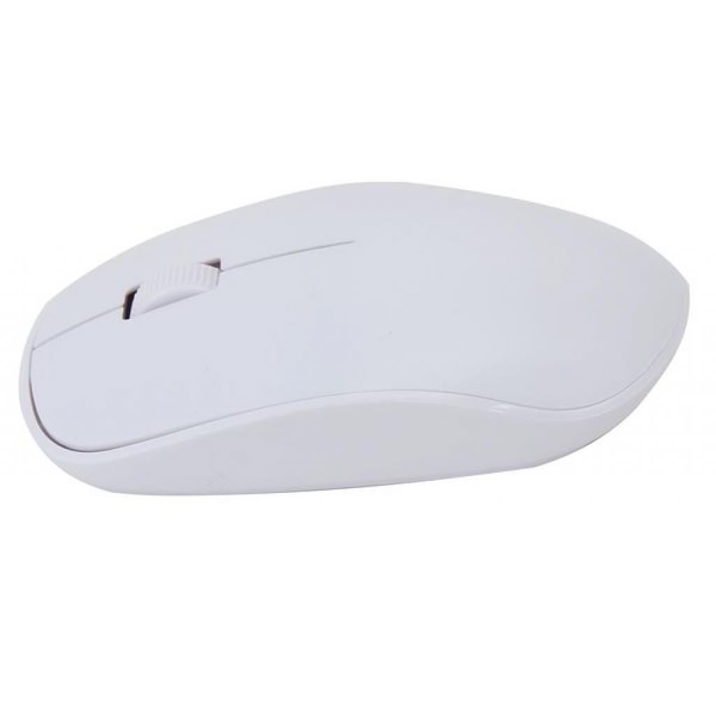 Мишка Omega Wireless OM0420 white (OM0420WW) зображення 2