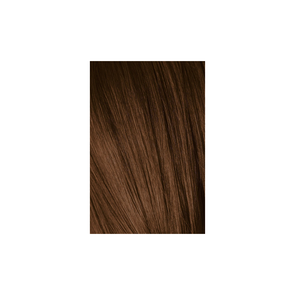 Краска для волос Schwarzkopf Professional Igora Royal Absolutes 5-60 Шоколадный натуральный 60 мл (4045787282290) изображение 2