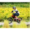 Дитячий велосипед Ninebot Kids Bike 18'' Red (789219) зображення 6