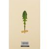 Книга Кульбаба - Квітка Налада Видавництво Старого Лева (9789666799992) зображення 2