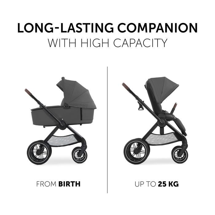 Коляска Hauck 2 в 1 Walk N Care Air (Black) (16547-8) зображення 3