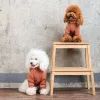 Толстовка для тварин Pet Fashion Miley М (4823082434732) зображення 5