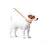 Повідок для собак WAUDOG Glamour шкіряний XS помаранчевий (33724) зображення 4