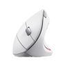 Мышка Trust Verto Ergonomic Wireless White (25132) изображение 5