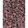 Сухий корм для кішок Carnilove True Fresh Cat Turkey з індичкою 4.8 кг (8595602561469) зображення 3