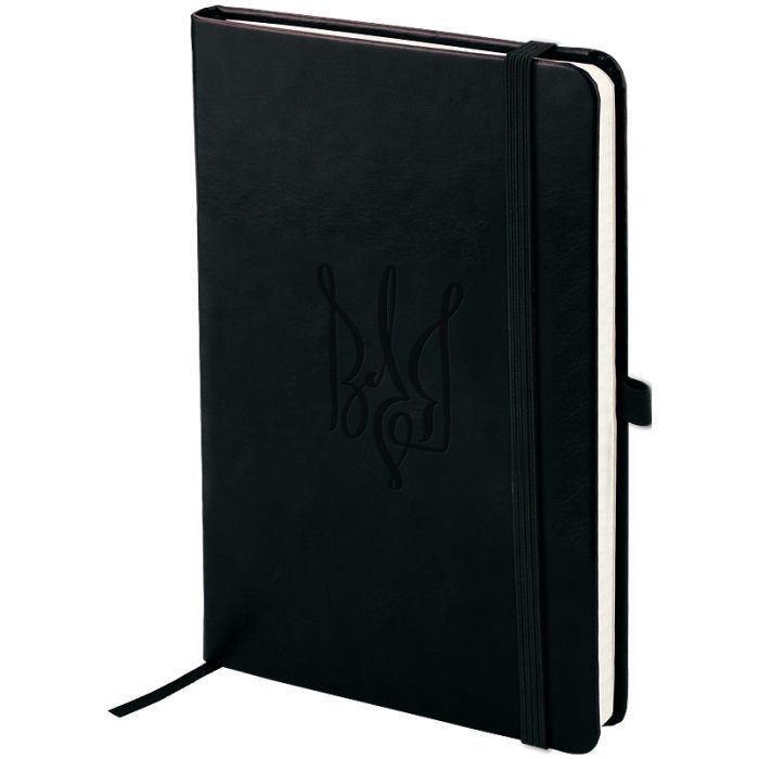 Книга записна Axent Partner Lux Воля 125x195 мм 96 аркушів, клітинка синя (8202-02-6-A)