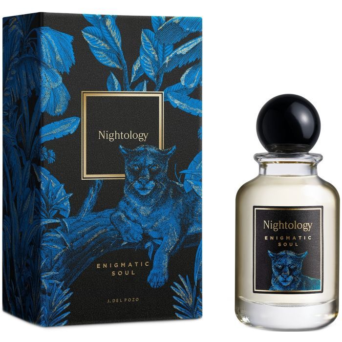 Парфумована вода Nightology Enigmatic Soul 100 мл (8431754008493)