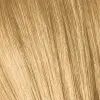 Фарба для волосся Schwarzkopf Professional Igora Vibrance 9.5-5 Золотистий тонер (7702045685190) зображення 2