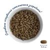 Сухий корм для собак Home Food ADULT MINI/MEDIUM Hypoallergenic з телятиною, овочами та духмяними травами 300 г (4820290090200) зображення 4