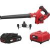 Воздуходувка Skil 3161 CB Compact Li-Ion 20V, 2Ah, бесщеточная (VA1E3161CB+BC1E3110A)