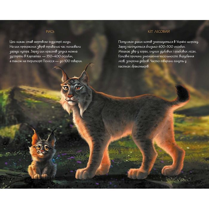 Книга Мавка. Щоденник. Зима Ранок (9789667514044) изображение 4