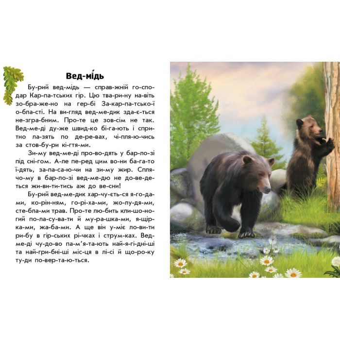 Книга Читаю про Україну. Тварини гір - Ю.В. Каспарова Ранок (9786170981363) изображение 2