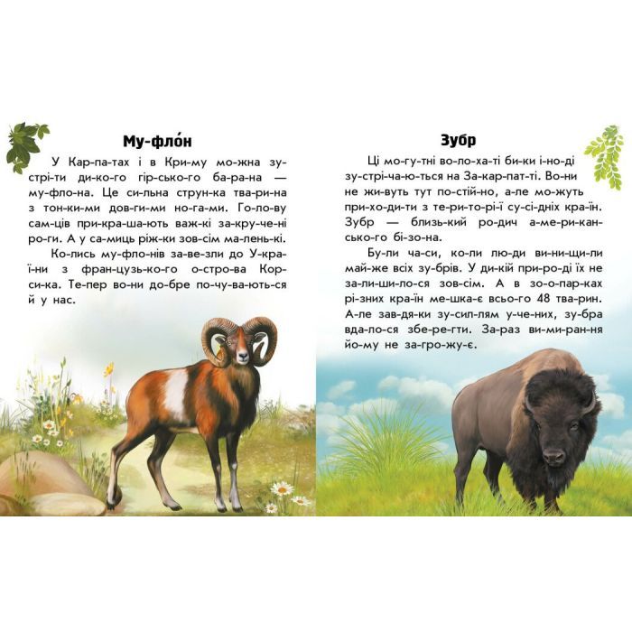 Книга Читаю про Україну. Тварини гір - Ю.В. Каспарова Ранок (9786170981363) изображение 3
