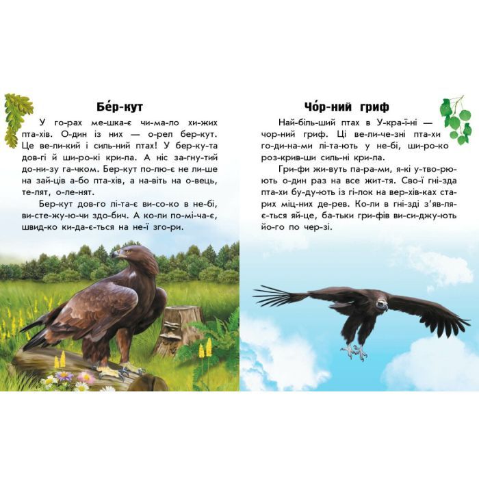 Книга Читаю про Україну. Тварини гір - Ю.В. Каспарова Ранок (9786170981363) изображение 4