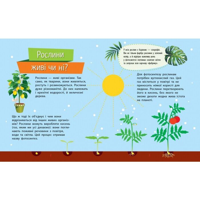 Книга Рослини. Чомусики - Г.К. Булгакова Ранок (9786170937834) зображення 3