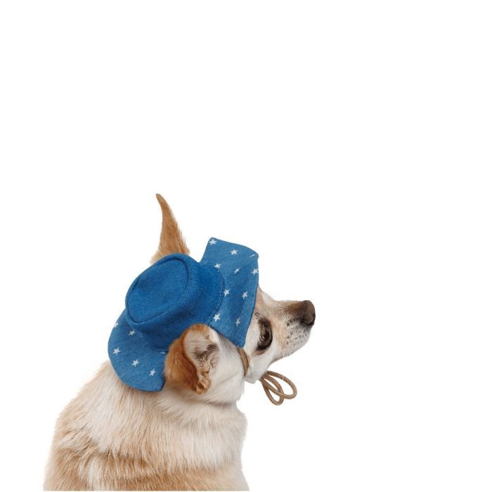 Кепка для животных Pet Fashion Stars М (4823082446148) изображение 2