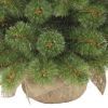 Искусственная сосна Triumph Tree Forest Frosted зеленая 0,9 м (8717669551881) изображение 3