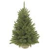 Искусственная сосна Triumph Tree Forest Frosted зеленая 0,9 м (8717669551881)