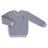 Кофта детская E&H трикотажная (11026-152B-gray)