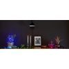 Гирлянда Twinkly Smart LED Strings RGBW 400, BT + WiFi, Gen II, IP44, кабель (TWS400SPP-BEU) изображение 12
