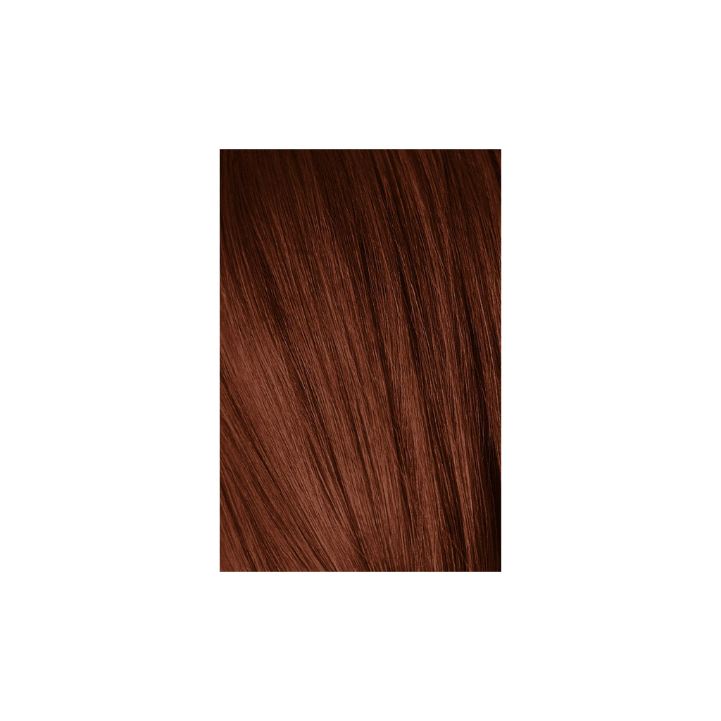 Фарба для волосся Schwarzkopf Professional Igora Royal Absolutes 7-560 Золотисто-шоколадний 60 мл (4045787632484) зображення 2