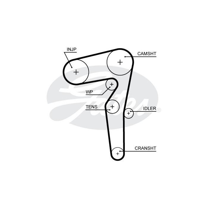 Ремень ГРМ Gates 5646XS