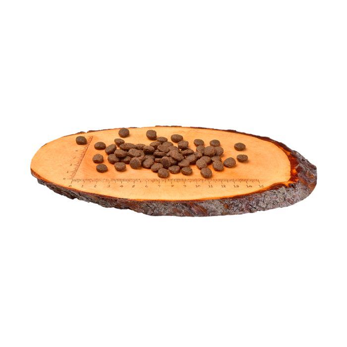 Сухий корм для собак Carnilove Salmon&Turkey Puppy 12 кг (8595602508822) зображення 2