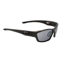 Фото - Тактические очки Swiss Eye Тактичні окуляри  Tomcat Smoke  40401 (40401)