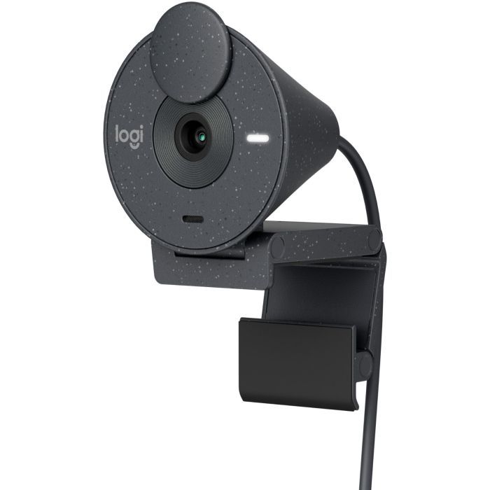Веб-камера Logitech Brio 300 FHD Rose (960-001448)