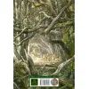 Книга Гобіт, або Туди і звідти (ілюстроване видання) - Джон Р. Р. Толкін Астролябія (9786176641896/9786176642909) изображение 2