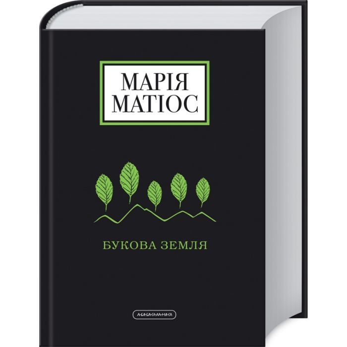 Книга Букова земля - Марія Матіос А-ба-ба-га-ла-ма-га (9786175851791) изображение 2
