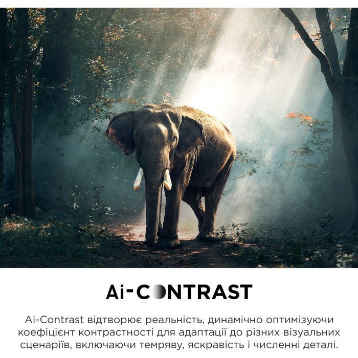 Телевизор TCL 55C745 изображение 12