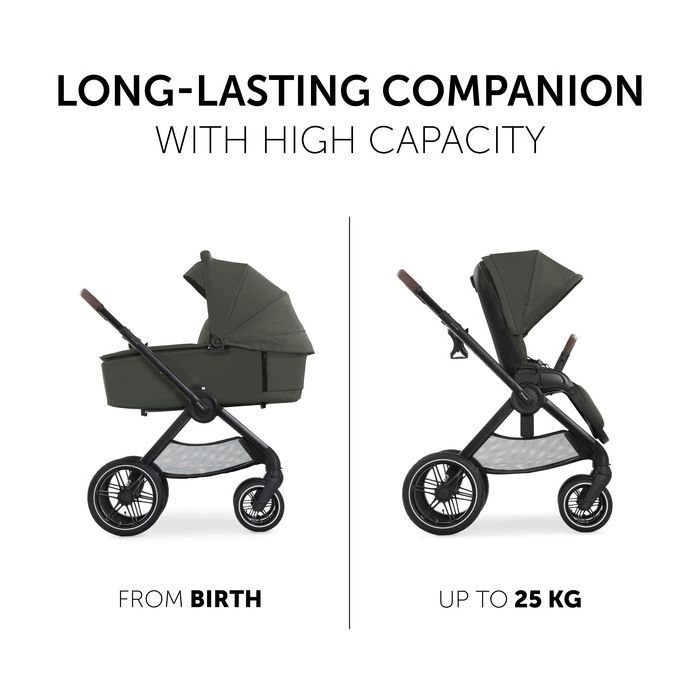 Коляска Hauck 2 в 1 Walk N Care Air (Black) (16547-8) зображення 6