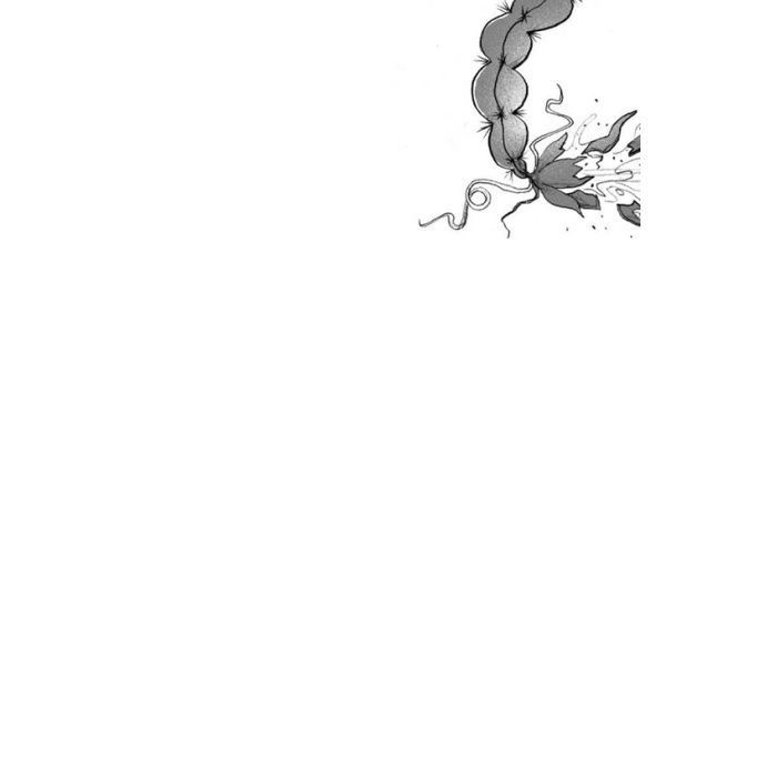 Книга Хлопчик, який марив драконами. Книга 4 - Енді Шеперд Видавництво Старого Лева (9789664481783) изображение 2