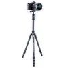 Штатив Vanguard Vesta TB 204CB (DAS301490) изображение 5