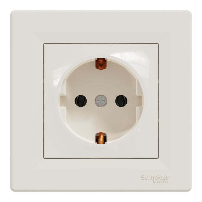 Розетка Schneider Electric ASFORA сталь (EPH2900162)