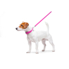 Повідок для собак WAUDOG Glamour шкіряний XS рожевий (33727) зображення 3