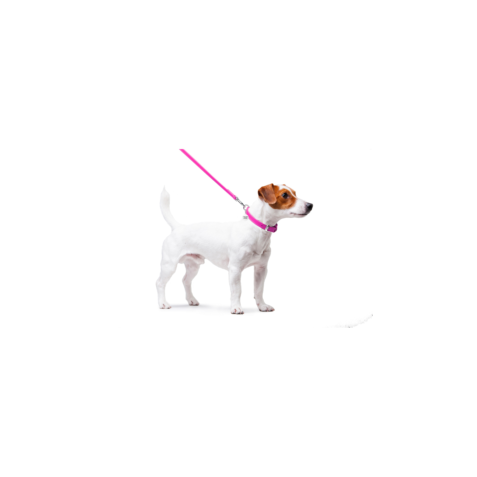 Повідок для собак WAUDOG Glamour шкіряний XS рожевий (33727) зображення 4