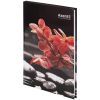 Книга записная Axent R&B Flower А5, 96 листов, клетка, твердая обложка (8457-7-A) изображение 2