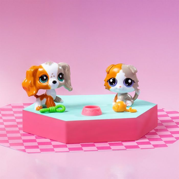 Игровой набор Littlest Pet Shop Друзья-двойники (00626) изображение 4