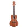 Укулеле Kala Mahogany Concert Ukulele With Binding (231440) зображення 2