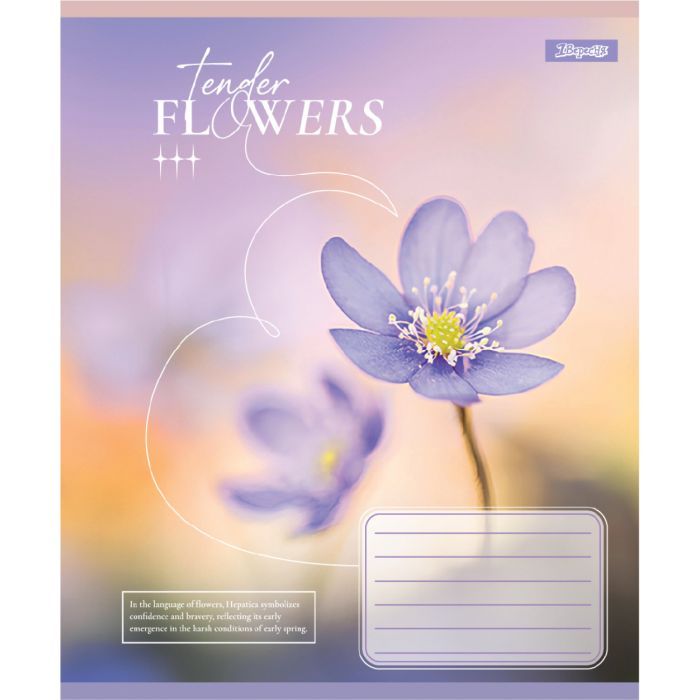 Тетрадь 1 вересня Tender Flowers А5 12 листов линия (768072) изображение 6