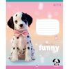 Зошит 1 вересня Funny Pets А5 12 аркушів лінія (768209) зображення 3