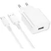 Зарядное устройство BOROFONE BA74A Aspirer USB + cable USB to USB-C White (6974443388671)