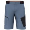 Шорты Salewa Pedroc 3 DST Cargo Mns 28601 8101 - 46/S - синій (013.012.0485)