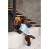 Свитер для животных Pet Fashion Fur S (4823082436057) изображение 8