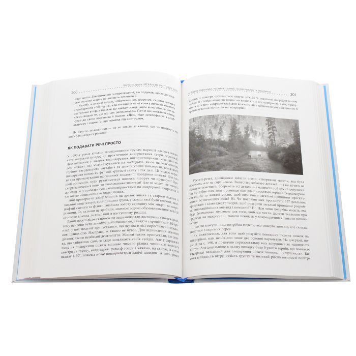 Книга Шалені задуми - Сафі Бакал Фабула (9786170961563) изображение 5